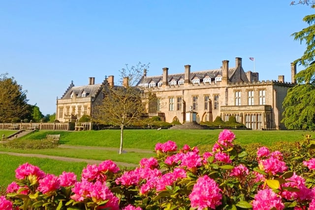 This beautiful view was taken at Newstead Abbey by Michael Parrott, snapped during a walk with his wife.