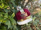 Fruit trees are available to celebrate the coronation of King Charles III
