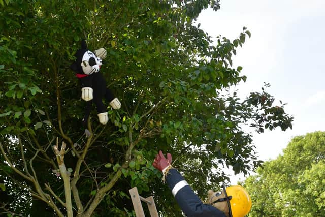 A firefighter scarecrow rescues a cat from a tree.