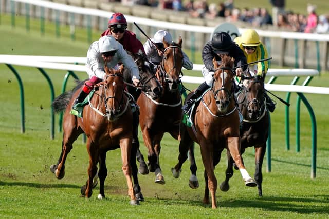 Two of the main fancies for Sunday’s 1000 Guineas, Millisle (right) and Raffle Prize. Photo by Alan Crowhurst/Getty Images)