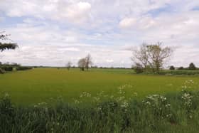 ​The grass field which has been bought by Heckington Parish Council to be a new green space for villlagers. Photo: AH