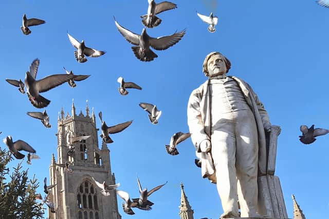 Pigeons in Boston's Market Place.
