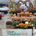 There are new attractions to see at this year's Bells Pumpkin Patch.