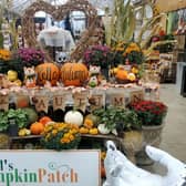 There are new attractions to see at this year's Bells Pumpkin Patch.
