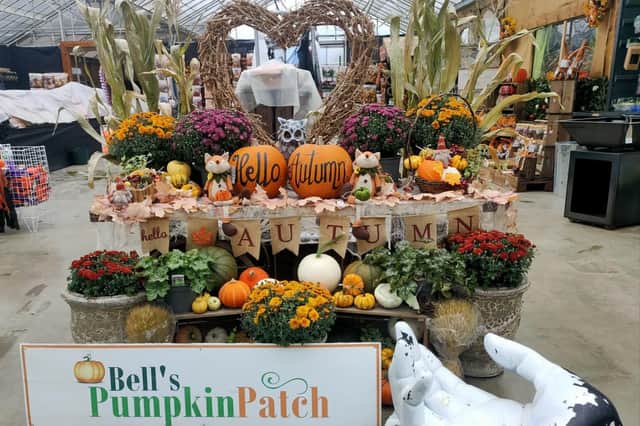 There are new attractions to see at this year's Bells Pumpkin Patch.