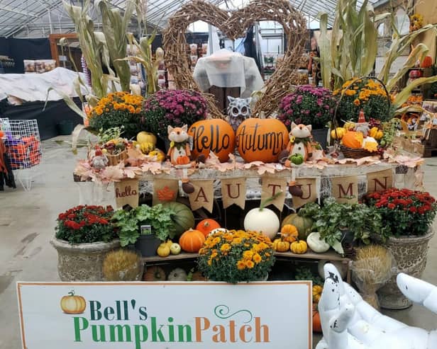 There are new attractions to see at this year's Bells Pumpkin Patch.