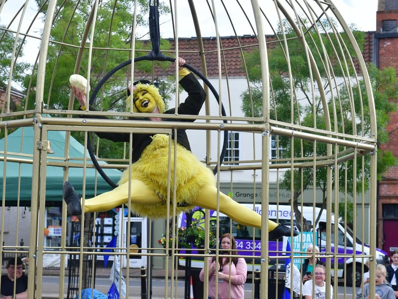 The 'canary' in action.