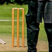 Cricket news.