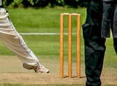 Cricket news.