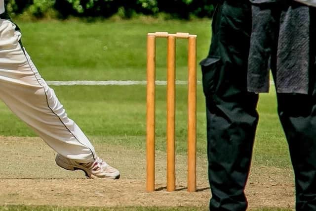 Cricket news.