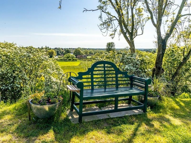 Part of the garden.