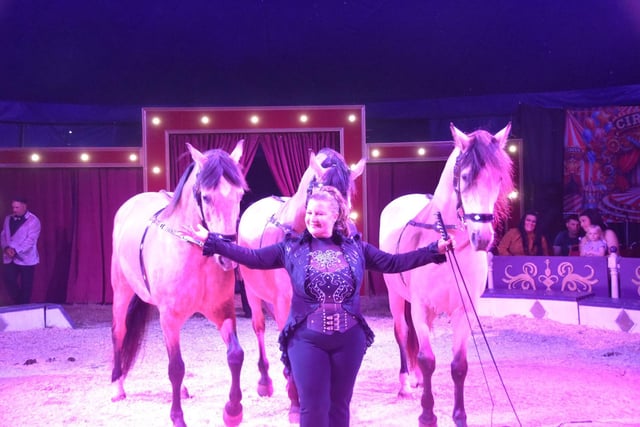 Equestrian trainer and circus owner Carolyn Roberts put her horses through their paces in this popular act.