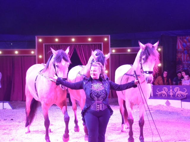 Equestrian trainer and circus owner Carolyn Roberts put her horses through their paces in this popular act.