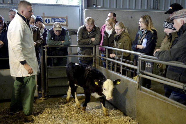 The trio at the cattle auction. Photo by Paul Nichols