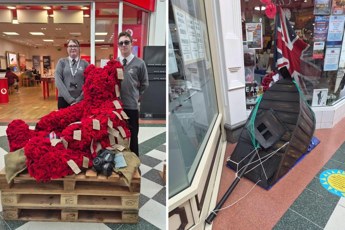 Praise for Skegness students as five hand-made Remembrance sculptures go on display