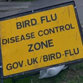 Two further reports of bird flu in poultry farms in Lincolnshire.