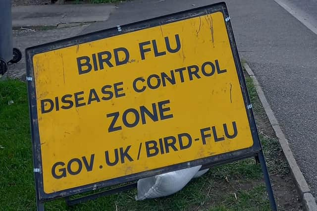 Two further reports of bird flu in poultry farms in Lincolnshire.