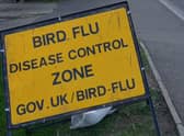 Two further reports of bird flu in poultry farms in Lincolnshire.