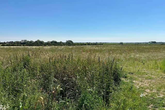Land off Mill Lane, Billinghay | Photo: Ellis Karran