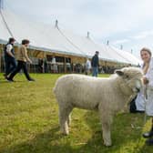 The 140th Lincolnshire Show is expecting to attract 60,000 visitors as well as competitors of all ages.