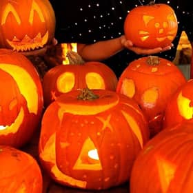The cheapest supermarket pumpkins might not be where you’d expect them to be this year