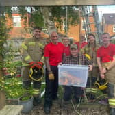 Horncastle and Louth firefighters rescuing Einstein the iguana from a tree. Photos: Lincs Fire & Rescue