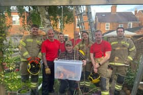 Horncastle and Louth firefighters rescuing Einstein the iguana from a tree. Photos: Lincs Fire & Rescue