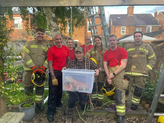 Horncastle and Louth firefighters rescuing Einstein the iguana from a tree. Photos: Lincs Fire & Rescue