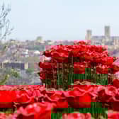 In the UK, the red poppy is the national symbol of remembrance. Despite the devastation and horrific loss of life in war-torn Europe, poppies flourished and grew on battlefields and this spectacular display in the shape of a Lancaster Bomber is a tribute to all those who served during WWII.