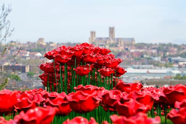 In the UK, the red poppy is the national symbol of remembrance. Despite the devastation and horrific loss of life in war-torn Europe, poppies flourished and grew on battlefields and this spectacular display in the shape of a Lancaster Bomber is a tribute to all those who served during WWII.