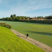 A photo taken of the River Witham at Anton's Gowt near Boston this summer, by @scullerbob.