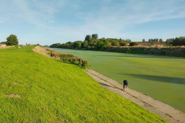 A photo taken of the River Witham at Anton's Gowt near Boston this summer, by @scullerbob.