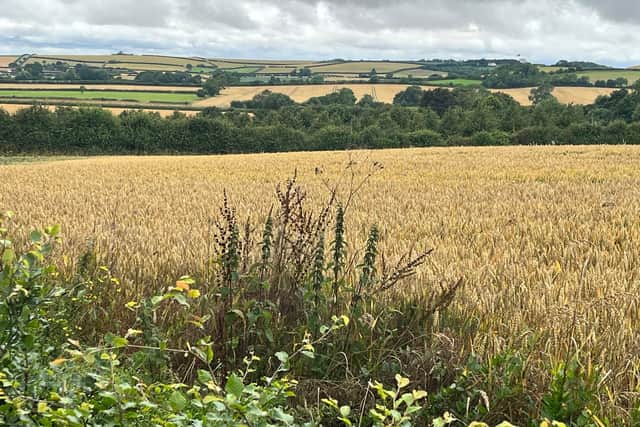 A view over the Lincolnshire Wolds.