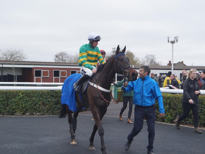 Grand D'Oudairies won the Market Rasen Town Council 50th Anniversary Handicap Steeple Chase