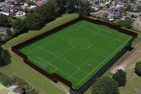 What the proposed 3G football pitch could look like | Image: ELDC
