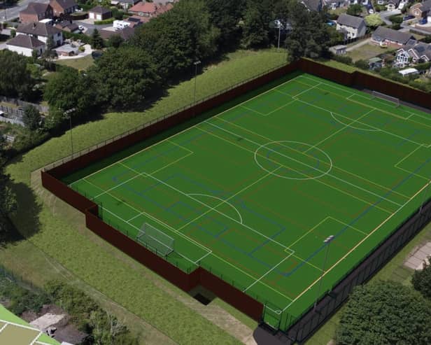 What the proposed 3G football pitch could look like | Image: ELDC