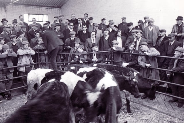Chesterfield cattle market holds its last auction on May 6, 1972.