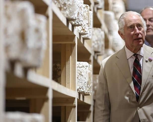His Majesty during his visit to the Lincolnshire Poacher cheese farm at Ulceby, near Alford, in 2023. Photo: Getty Image