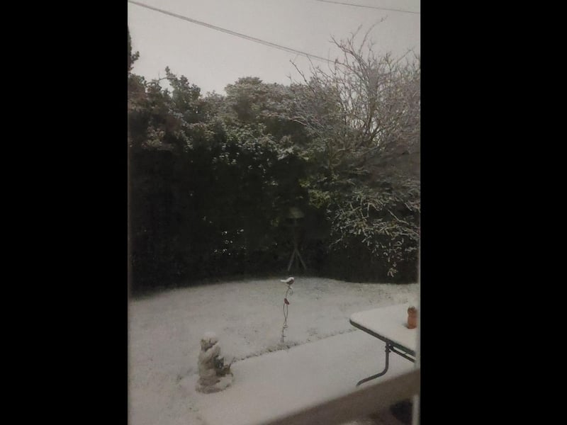 A wintry garden, photographed by Dalia Brunziene.