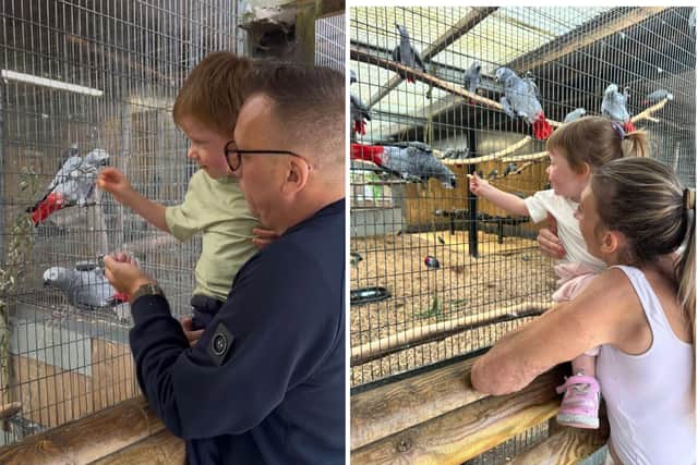 Left: Marks lifts up Oliver to feed the parrots at Lincolnshire Wildlife Park. Right: Sarah and Mia make some feathered friends.