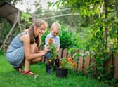 Green-fingered people burn a lot of calories taking care of their garden. For example, planting fruit and vegetable seeds or plants for 20 minutes burns 105 calories
