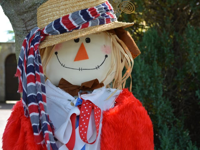 Perfect image of a scarecrow smile