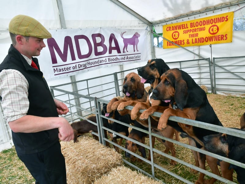 Chris Lightfoot of Cranwell Bloodhounds. Photo: David Dawson