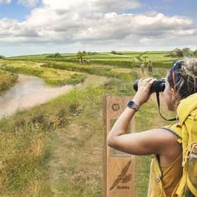 An impression of how the wetland nature area around the reservoir may look, with opportunities for leisure. (Anglian Water)