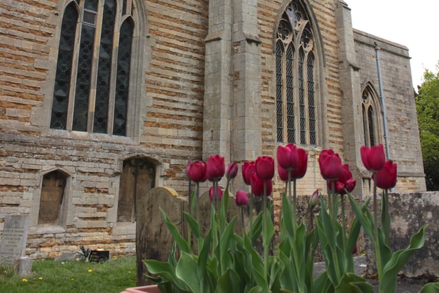 Tulips in memory of airborne forces outside Caythorpe Church, historically linked to the airborne signals squadron. Photo: SKDC