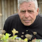 Steve Nichols, CEO, at Lincolnshire Wildlife Park checking out the swarm of bees.