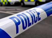 A car burst into flames after a collision on the A15 near Quarrington.