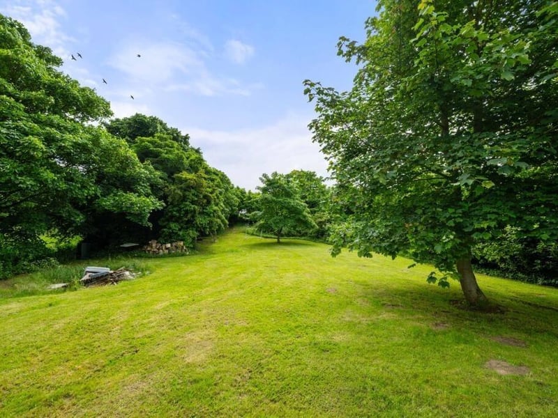 More of the grounds.