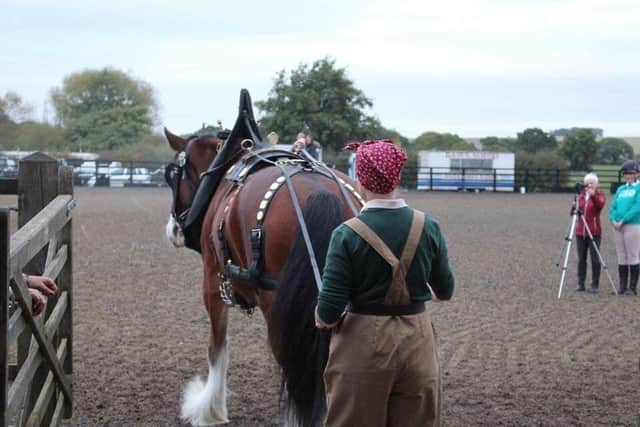 Isla opened a special 'hundred years of the horse' event as a plough horse