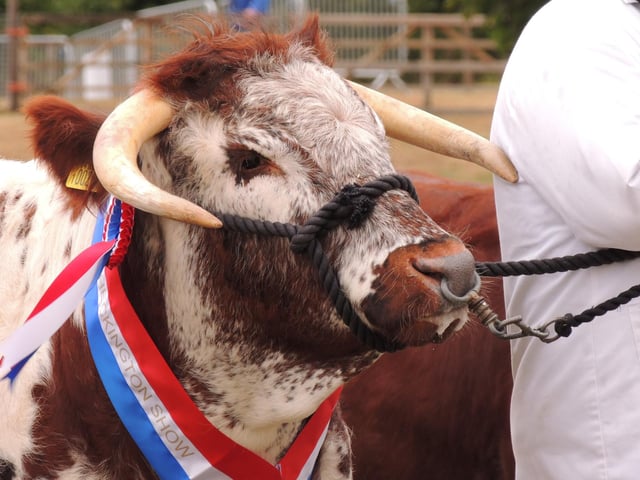 There will be livestock judging on the Sunday.